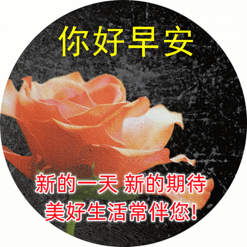 清晨祝福早安问候说说图片 人生,只有你自己想努力,才能真正的努力_非