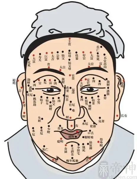 男人脸上痣相详细解析图解大全男人长痣面相图男人长痣面相图解男人