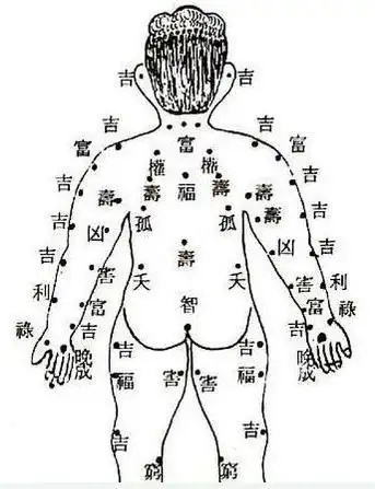 女生后背痣相图解大全痣相图解
