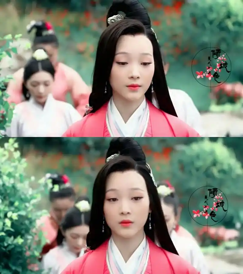 何杜娟《芈月传》【魏美人】楚怀王的宠妃.