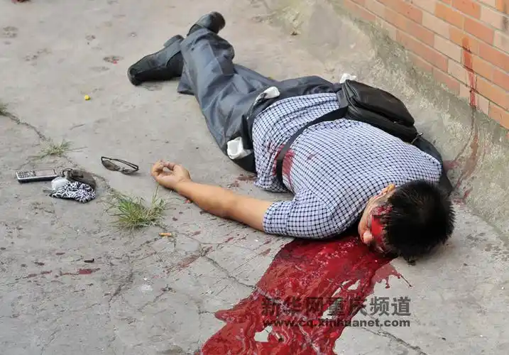 8月14日,警方在犯罪嫌疑人周克华被击毙现场清理其所持枪械等物品.