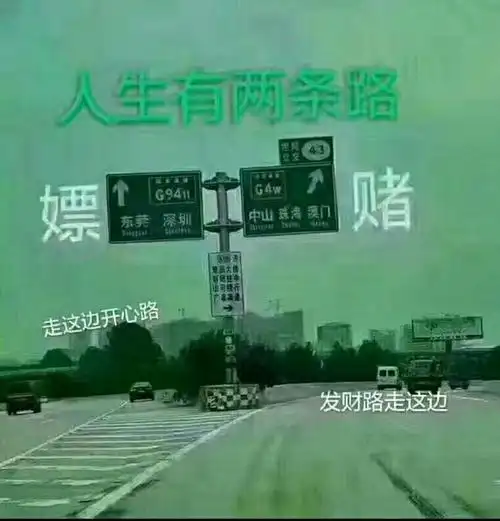 人生有两条路嫖赌