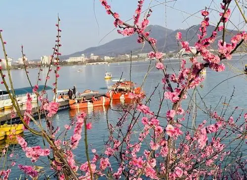 "南京玄武湖风景名胜区神策门公园梅花摄影游记