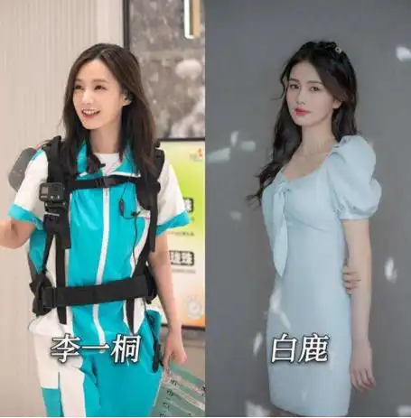 3.李一桐与白鹿.不过这些质疑想必对她也没有太大的影响吧.