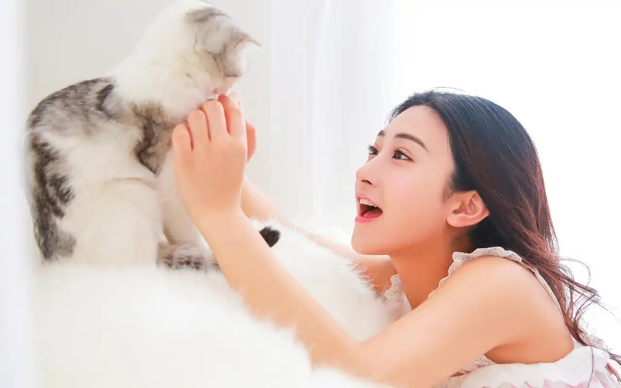 性感猫咖美女高清电脑桌面壁纸-美女壁纸-壁纸下载-美桌网