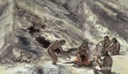 科研速报和县直立人头骨表面痕迹揭示埋藏环境与生存活动