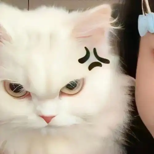 头像抖音热门100wechat头像