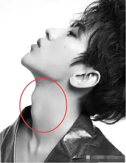 最近网上有人整理出了蔡徐坤的喉结照,照片中我们可以明显的看到他的