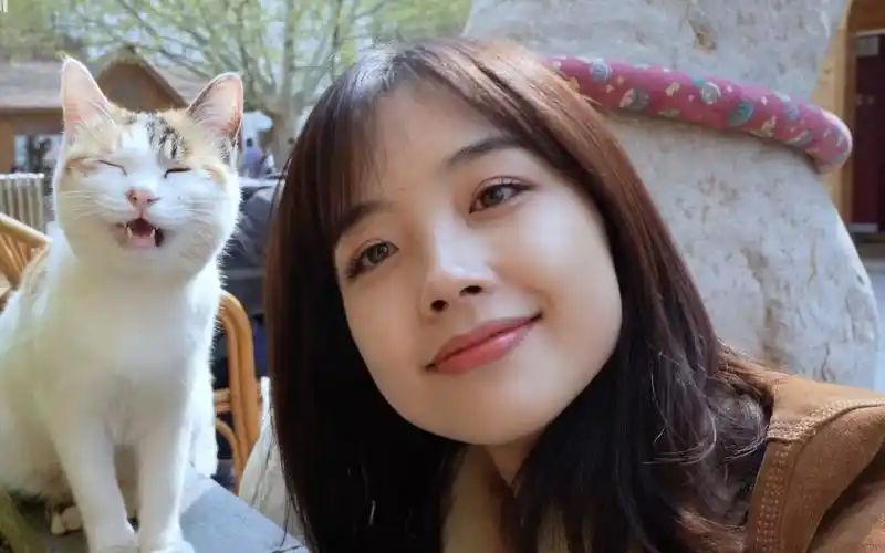 吸猫猫的王冰冰 王冰冰最新壁纸更新了(上)_哔哩哔哩 (゜-゜)つロ