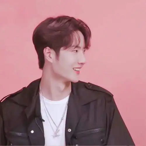 王一博肖战头像情头