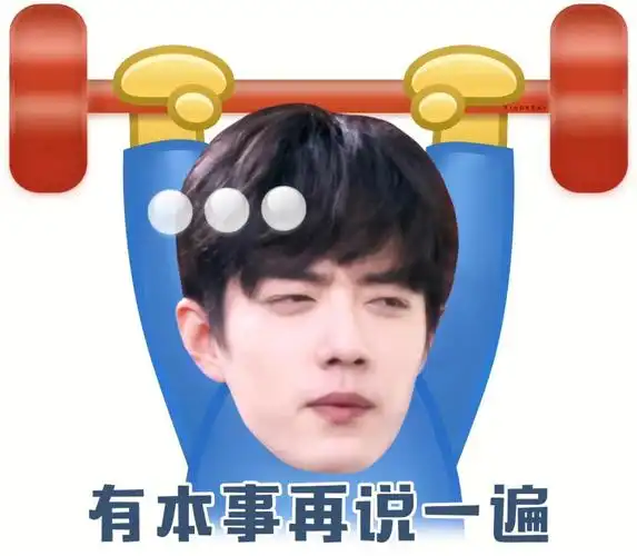 肖战表情包三十三弹