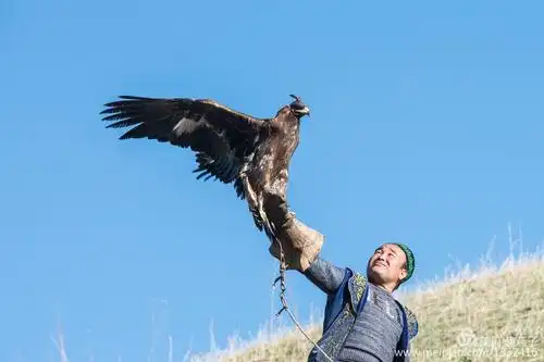 4月8日,【哈萨克猎鹰人】,拍摄于伊犁吐尔根乡