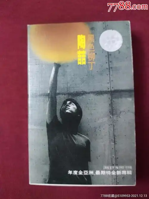 陶喆黑色柳丁精选歌曲专辑