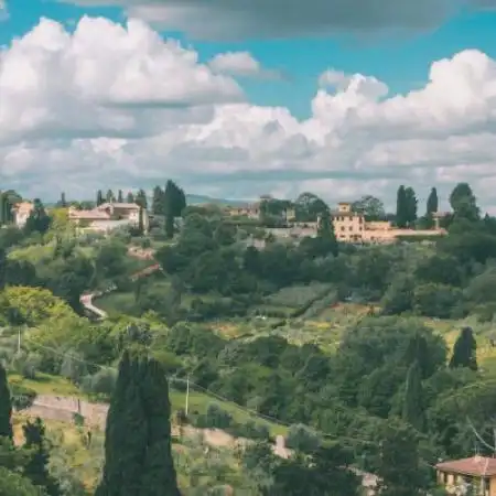 风景静物头像,唯美好看高清风景静物头像干净清新
