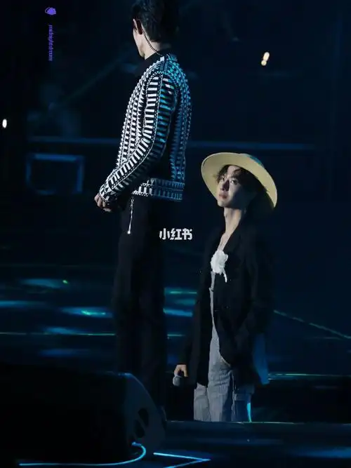 肖战王一博陈情令南京演唱会