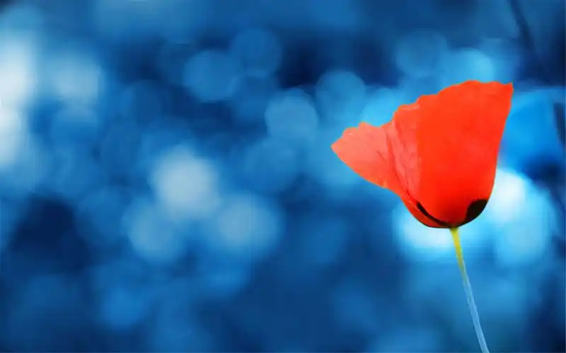 精选好看的蓝色护眼风景图片桌面壁纸高清下载