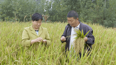 400_225gif 动态图 动图