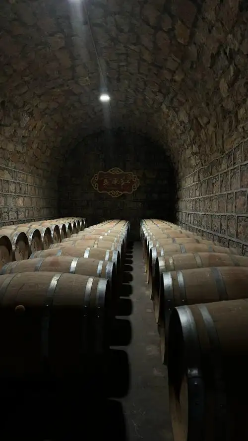 比法国南部还浪漫的薰衣草花田  比波尔多还醉人的葡萄大道和红酒庄