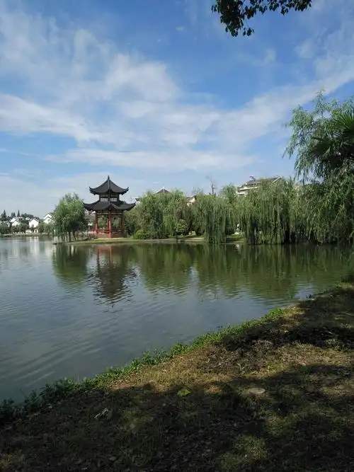 公园里的美景(手机拍摄的美图)