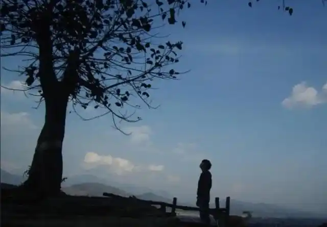 人生的孤独感,从没有一个贴心的朋友开始