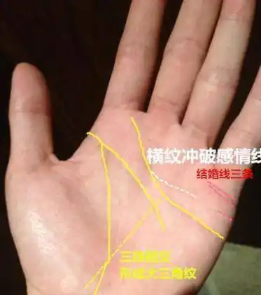 在无名指下面,紧贴着感情线,有一个三角形的手纹,手相有金房子之人