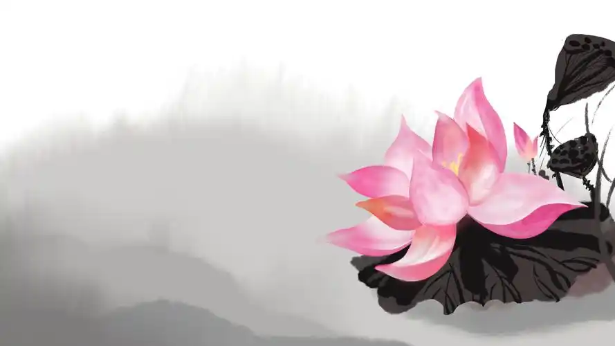 中国风水墨荷花ppt背景(小清新静态壁纸) - 静态壁纸下载 - 元气壁纸