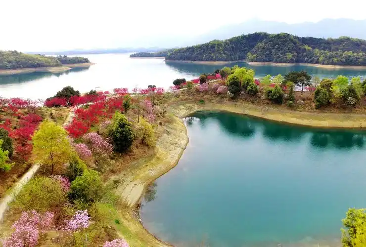 武宁花源谷和星龙索道哪个更好玩