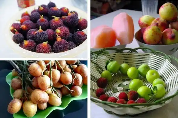 夏天酸味食物有哪些-夏天为什么要吃点酸的食物-问道美食网