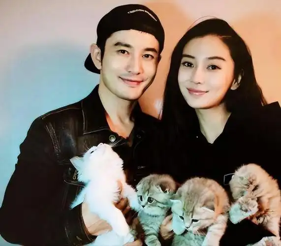 杨颖|模特|刘亦菲|刘德华|黄教主|奔跑吧|女明星|大陆综艺|angelababy