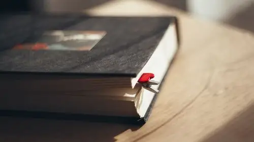 文艺的书籍写真