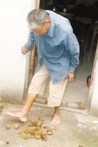 这位老汉有双"铁脚板"