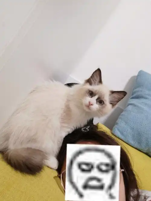 四个月到一岁臭妹妹长大了