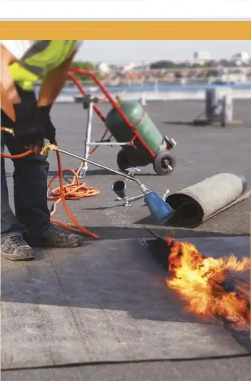 (现货速发 )法国防水喷火枪进口猛虎喷枪防水专用猛龙喷枪液化气喷火