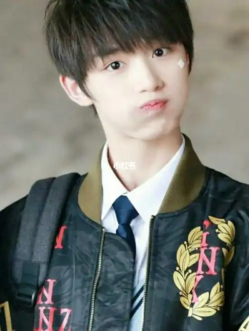 丁程鑫个人资料粉丝名,丁程鑫个人资料