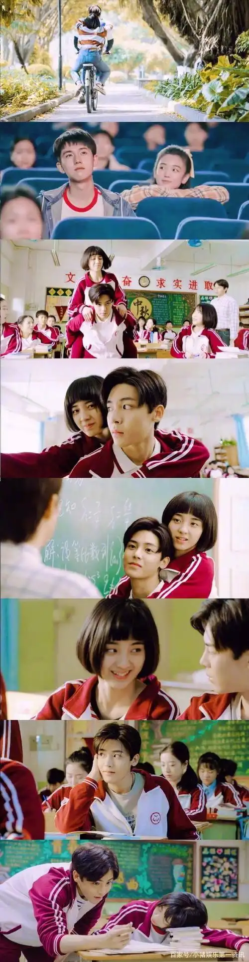 高分高甜青春校园剧,你最pick哪一部?