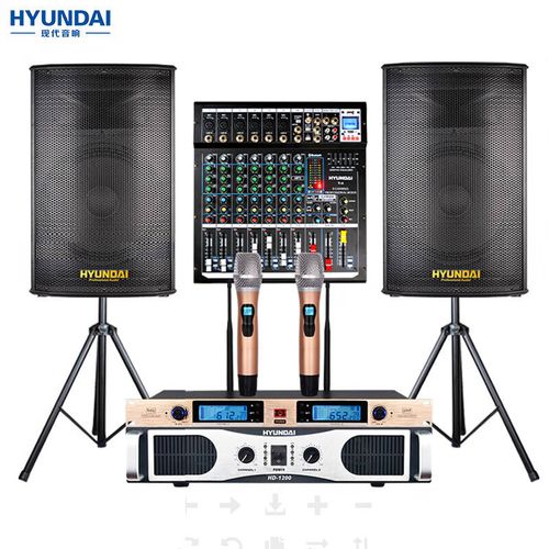 hyundai现代12英寸单双15英寸专业会议大型舞台音响套装 大功率演出
