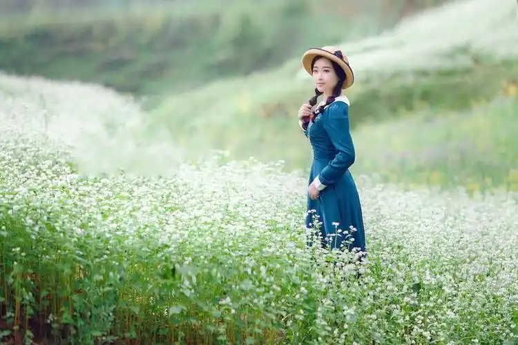 一个依偎在开满遍地花海里的清秀女孩!