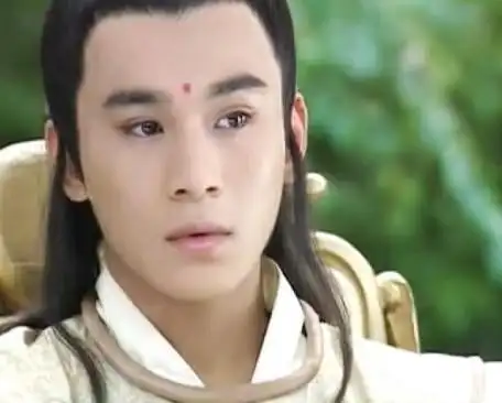 盘点演技好颜值高却老是演男二号的明星