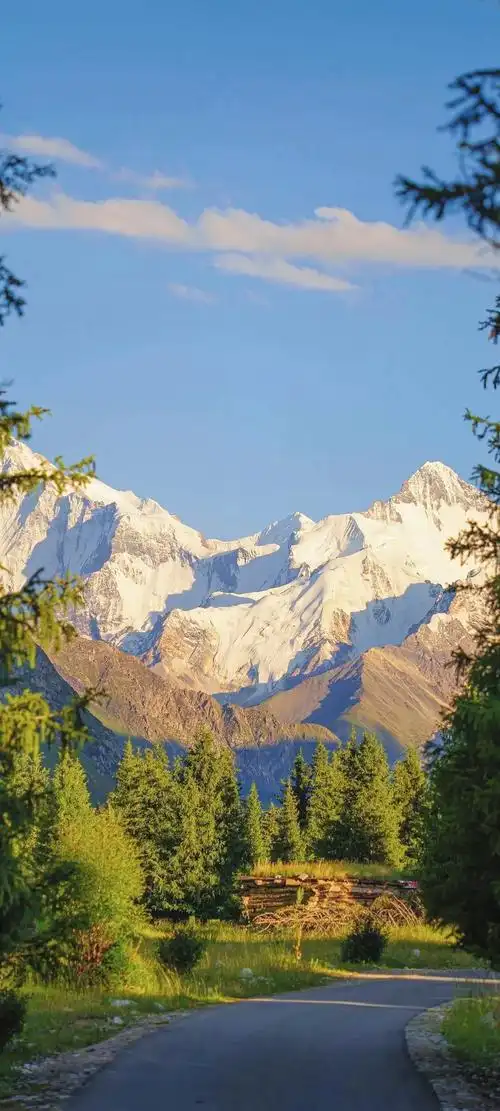 1%电量也要换的壁纸#屏保该换了系列 #欢迎取图 #每一帧都 - 抖音