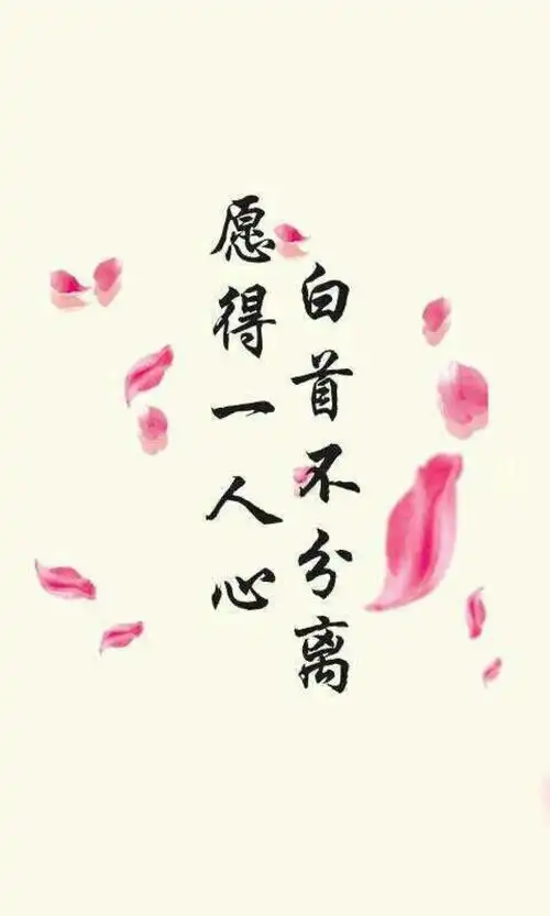 只愿得一人心,白首不分离.