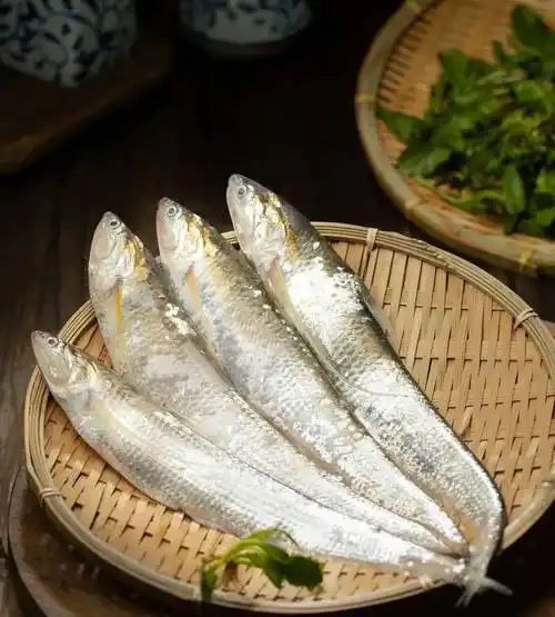 某马同厂刀鱼馄饨~初春的第一口鲜!错过又得等一年!_长江口_口感_品质