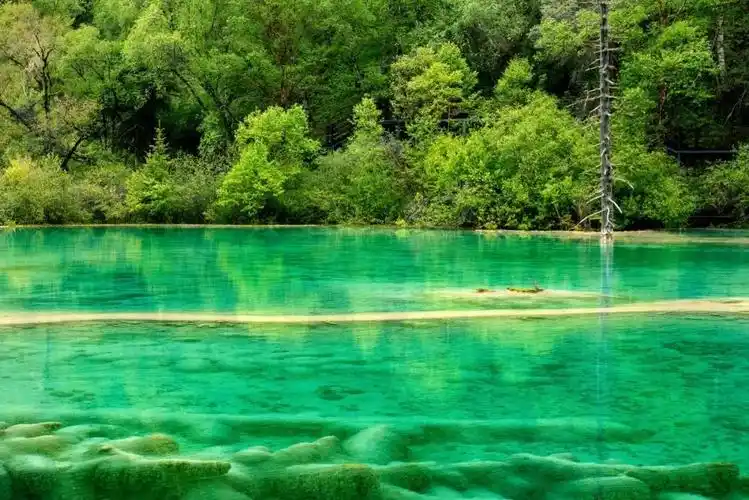 绿水青山就是金山银山丨"践行两山理论,建设美丽四川"2022四川生态