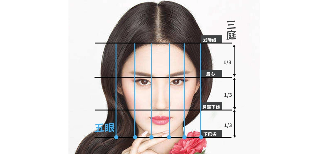 这一点可以依照黄金比例三庭五眼来判断.