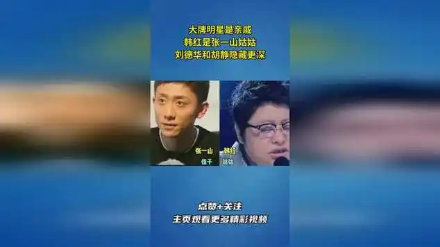 刘德华和胡静隐藏更深|记者_网易视频
