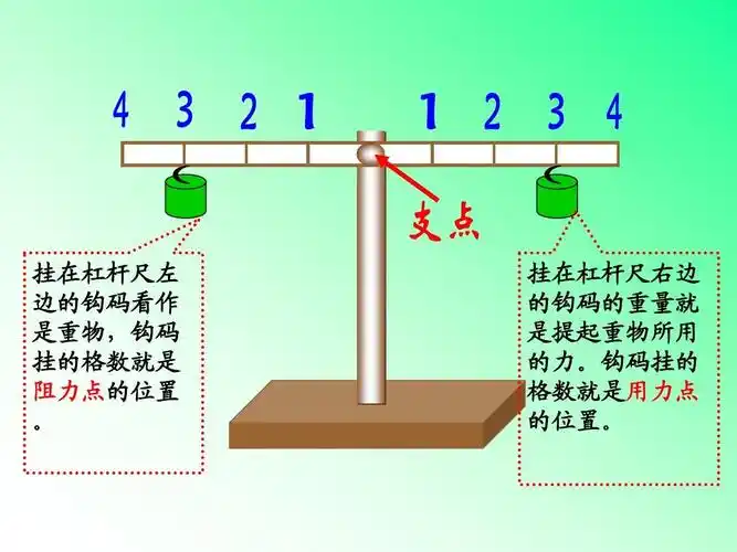 挂在杠杆尺右边 的钩码的重量就 是提起重物所用 的力.