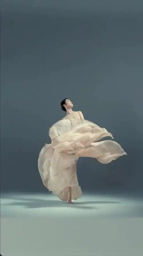 舞- 堆糖,美图壁纸兴趣社区