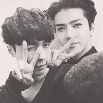 exo 张艺兴 lay 吴世勋 sehun 魂蛋 勋兴