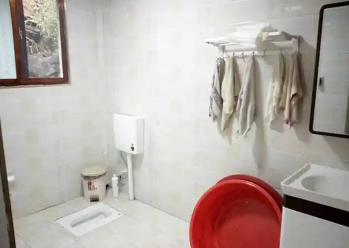 装修_卫生间_马桶