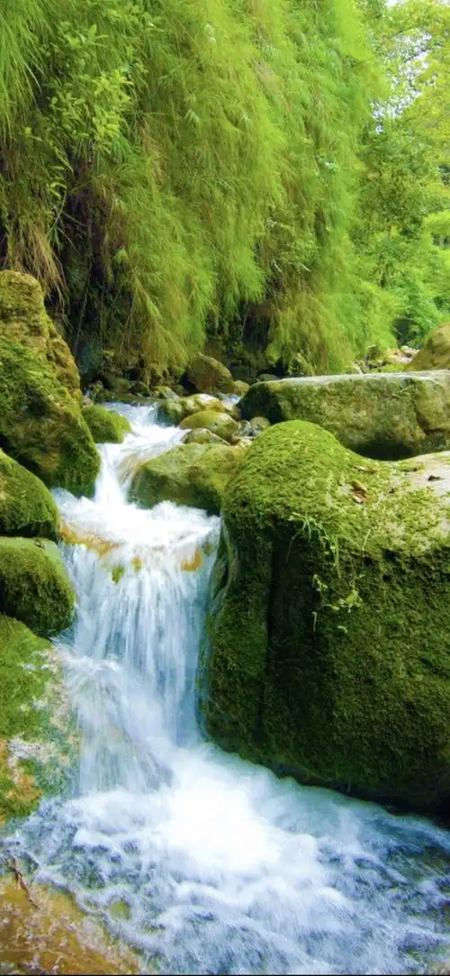 03-25 0 国宝yu佳 写实景为主,若能加入寄情於山水应可更妙!