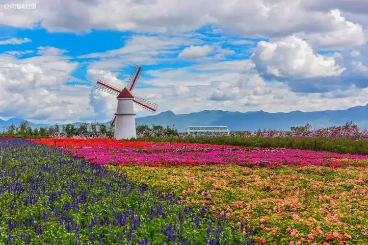 丽江雪山花海,是中国最美的仿欧洲风情景区,且还鲜为人知